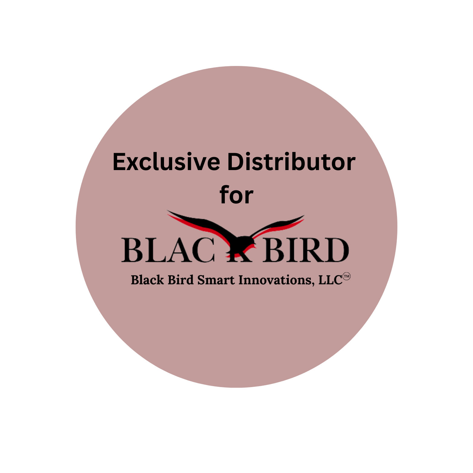 Exclusive Distributor for Black Bird Smart Innovations