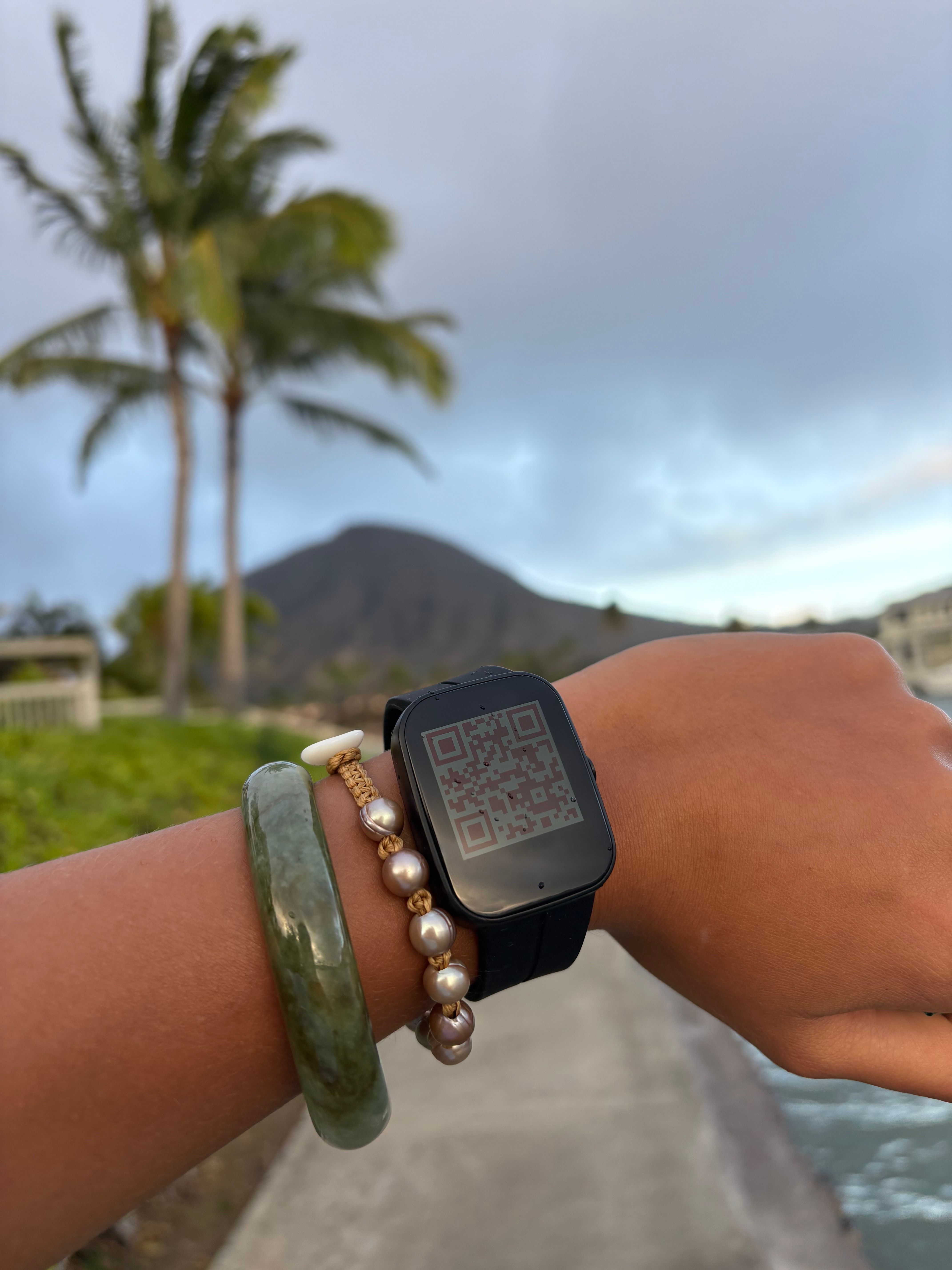 Smart Wristband (BTE)